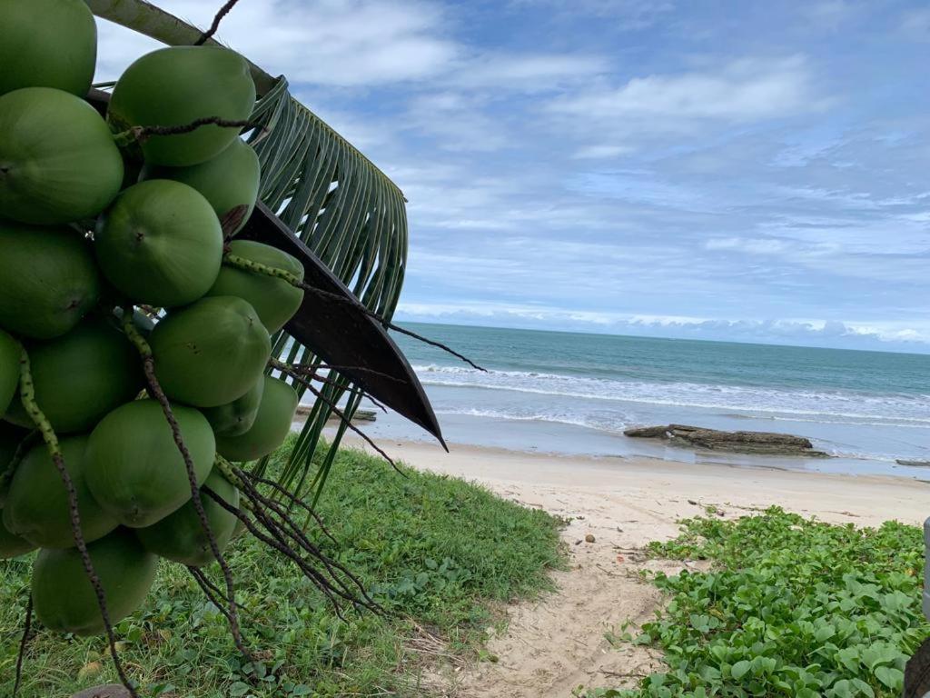 Casa No Paraiso Dos Carneiros Em Tamandaré Esterno foto